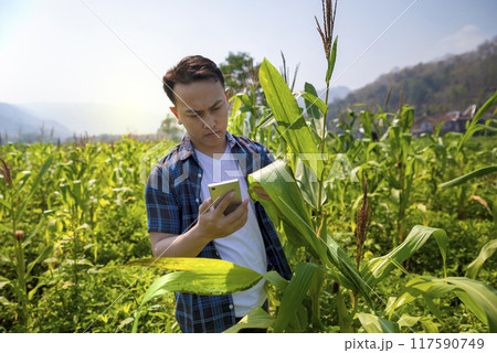 A person is holding a mobile phone while looking at a plant 117590749