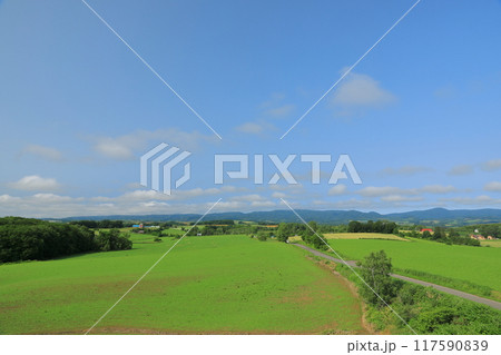 美瑛北西の丘の展望台から眺めた風景 117590839