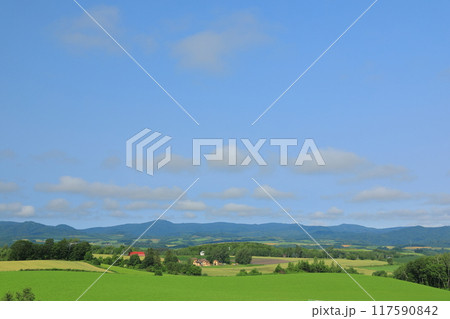 美瑛北西の丘展望公園からの初夏の北の大地の風景 117590842
