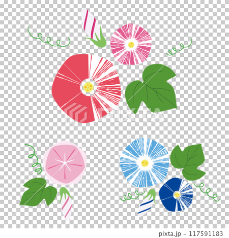 あさがおの花のセット 117591183