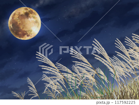 ススキと満月 秋の夜空 十五夜 ススキと満月 秋の夜空 十五夜 117592225