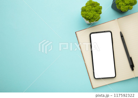 Blank notebook with smartphone and plant on blue background Blank notebook with smartphone and plant on blue background 117592322
