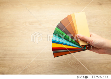 Female hand holding color trend palette. Flat lay, top view. Female hand holding color trend palette. Flat lay, top view. 117592543