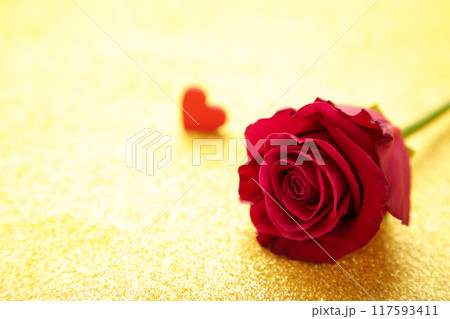 Bright red rose and hearts on gold glitter background.. Spring concept. 117593411