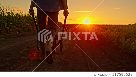 A farmer walking along a dirt road at sunset, pushing a wheelbarrow next to a cornfield. 117593525