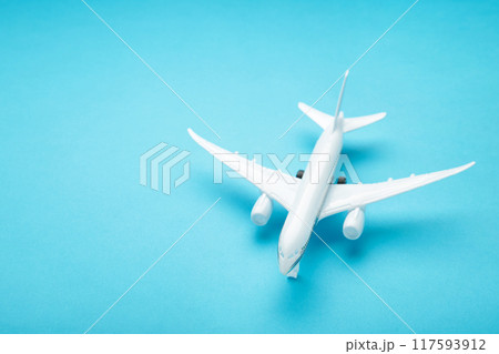 Model airplane on blue pastel color background. 117593912