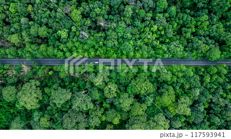 Electric vehicle car in forest road deep rainforest tree with green tree forest view from above, Aerial view electric vehicle ev car in forest asphalt road, EV car on road middle of forest tree. Electric vehicle car in forest road deep rainforest tree with green tree forest view from above, Aerial view electric vehicle ev car in forest asphalt road, EV car on road middle of forest tree. 117593941