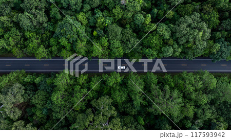 Aerial view electric vehicle car drive on asphalt road in mountain green forest, EV car electric vehicle car on forest road green energy and eco power business, EV electric car drive green forest road Aerial view electric vehicle car drive on asphalt road in mountain green forest, EV car electric vehicle car on forest road green energy and eco power business, EV electric car drive green forest road 117593942