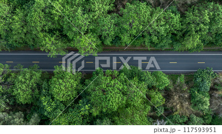Aerial view road in the middle of the green forest tree, Asphalt forest road in deep tropical rainforest with green tree forest, Nature road adventure and travel environment. 117593951