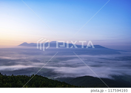 矢岳高原から雲海と霧島連山 117594193