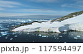 Seagulls flying over pristine Antarctic landscape, sunny day. Mountain rock glacier, icebergs ice floating frozen polar ocean. Blue sky in background. Antarctica travel, explore wildlife. Aerial shot 117594497