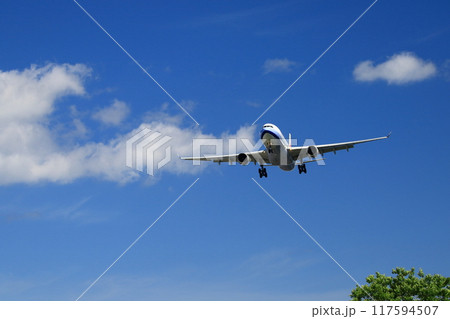 着陸する航空機 117594507