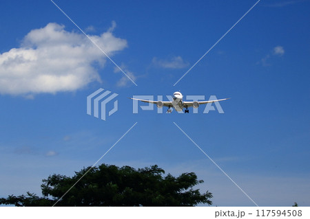 着陸する航空機 117594508