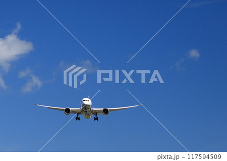 着陸する航空機 117594509