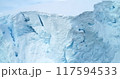 Arctic glacier close up aerial view. Snow covered blue ice wall iceberg in Antarctica, snowy frozen structure. Drone panorama. Natural background, winter wallpaper. Climate change and global warming 117594533