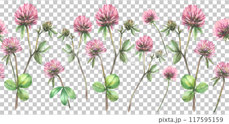 Clover flower twig with leaves and bud. Seamless border. Watercolor isolated illustration. Hand drawn pink field wildflowers for spring floral und botanical fabric, wallpaper Blooming meadow pattern  117595159