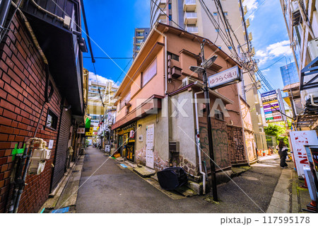 日本の東京都市景観 8月。三軒茶屋駅すぐの飲み屋街などを望む 117595178