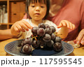 ぶどうを食べる女の子 117595545