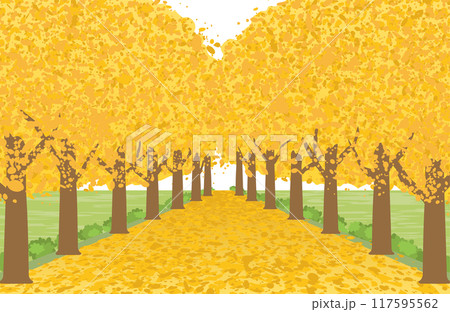 イチョウ並木の風景 イチョウ並木の風景 117595562