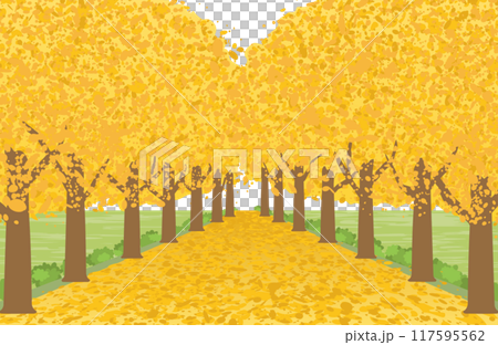 イチョウ並木の風景 イチョウ並木の風景 117595562