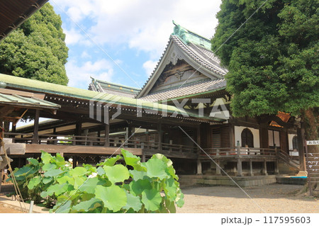 帝釈天題経寺 本堂 帝釈天題経寺 本堂 117595603