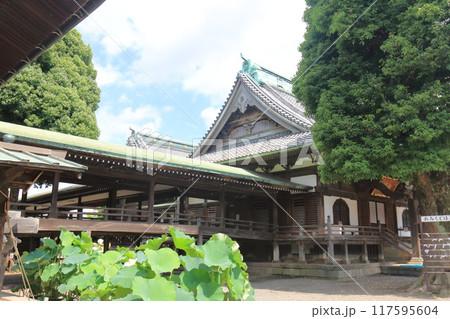 帝釈天題経寺 本堂 帝釈天題経寺 本堂 117595604