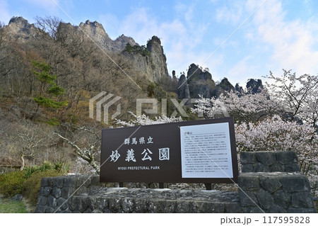 妙義山さくらの里の看板に桜と妙義山(金洞山) 妙義山さくらの里の看板に桜と妙義山(金洞山) 117595828
