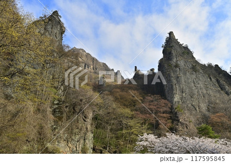 妙義山さくらの里に咲く桜と岩峰 妙義山さくらの里に咲く桜と岩峰 117595845