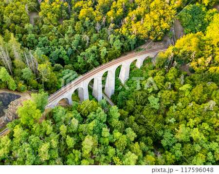 The Zampach stone railway bridge arches gracefully over lush green forest, showcasing its architectural beauty in the vibrant landscape of Czechia. 117596048