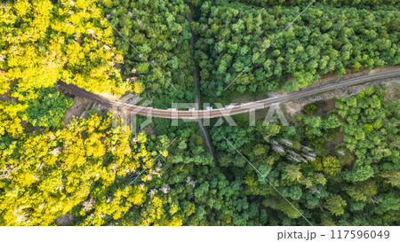 An aerial view reveals the Zampach stone railway bridge curving gracefully over a lush green forest, blending with the vibrant foliage of Czechia during a sunny day. 117596049