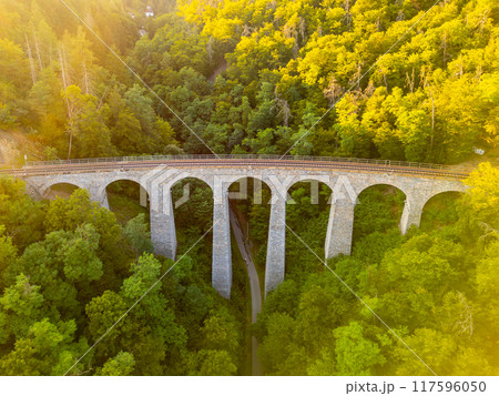 The Zampach stone railway bridge arches gracefully over a lush green landscape, blending into the surrounding woodland in Czechia, showcasing the harmony of nature and engineering. 117596050