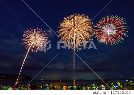 【静岡県】土肥サマーフェスティバル　海上花火大会 117596100