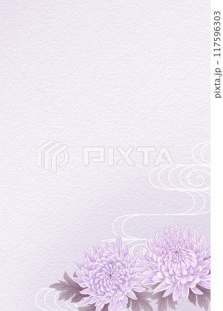 菊の和風背景 縦長 菊の和風背景 縦長 117596303