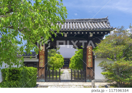 大本山妙顯寺(妙顕寺) 総門 大本山妙顯寺(妙顕寺) 総門 117596384