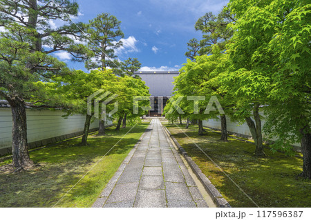 大本山妙顯寺（妙顕寺）　大本堂 117596387