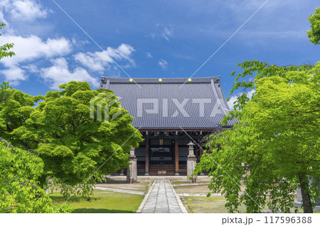 大本山妙顯寺（妙顕寺）　大本堂 117596388