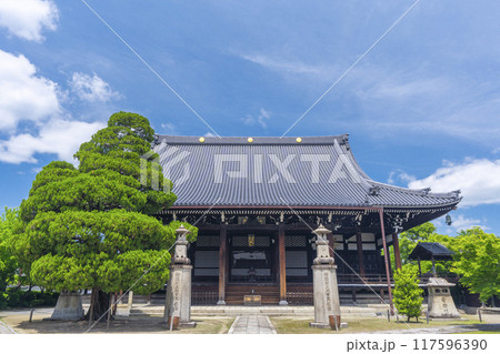 大本山妙顯寺（妙顕寺）　大本堂 117596390