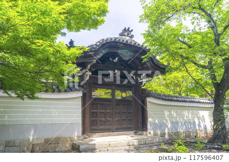 大本山妙顯寺(妙顕寺) 勅使門 大本山妙顯寺(妙顕寺) 勅使門 117596407