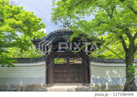 大本山妙顯寺（妙顕寺）　勅使門 117596409