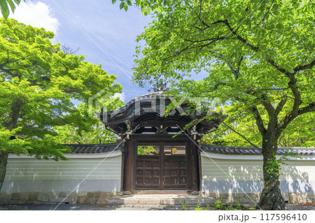 大本山妙顯寺(妙顕寺) 勅使門 大本山妙顯寺(妙顕寺) 勅使門 117596410