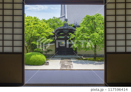 妙顕寺　客殿から見える四海唱導の庭 117596414