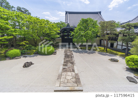 妙顕寺 新緑が美しい四海唱導の庭 妙顕寺 新緑が美しい四海唱導の庭 117596415