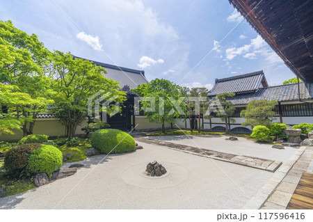 妙顕寺　新緑が美しい四海唱導の庭 117596416