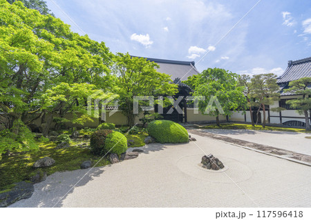 妙顕寺　新緑が美しい四海唱導の庭 117596418