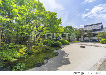 妙顕寺 新緑が美しい四海唱導の庭 妙顕寺 新緑が美しい四海唱導の庭 117596419