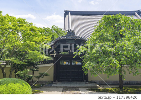 妙顕寺　新緑が美しい四海唱導の庭 117596420