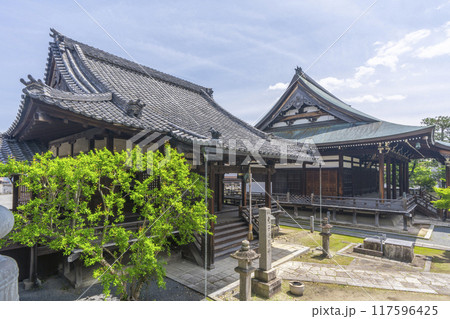 妙顕寺 鬼子母神堂(手前)と三菩薩堂(奥) 妙顕寺 鬼子母神堂(手前)と三菩薩堂(奥) 117596425