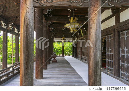 夏の京都　妙顕寺　大本堂 117596426