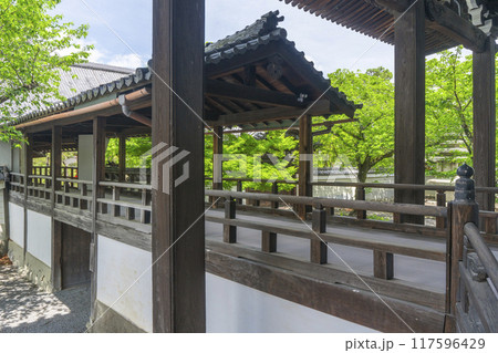 大本山妙顯寺（妙顕寺）　渡り廊下 117596429
