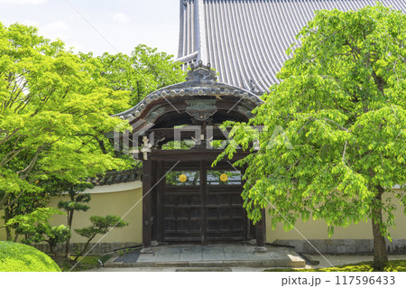 大本山妙顯寺(妙顕寺) 勅使門 大本山妙顯寺(妙顕寺) 勅使門 117596433